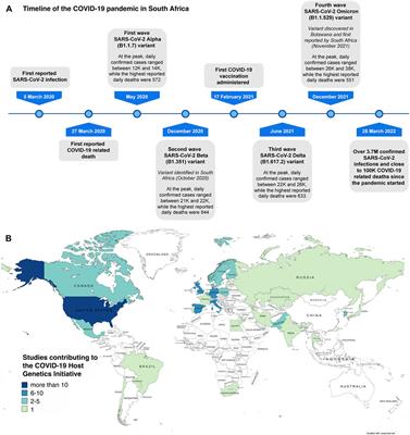 African Genetic Representation in the Context of SARS-CoV-2 Infection and COVID-19 Severity